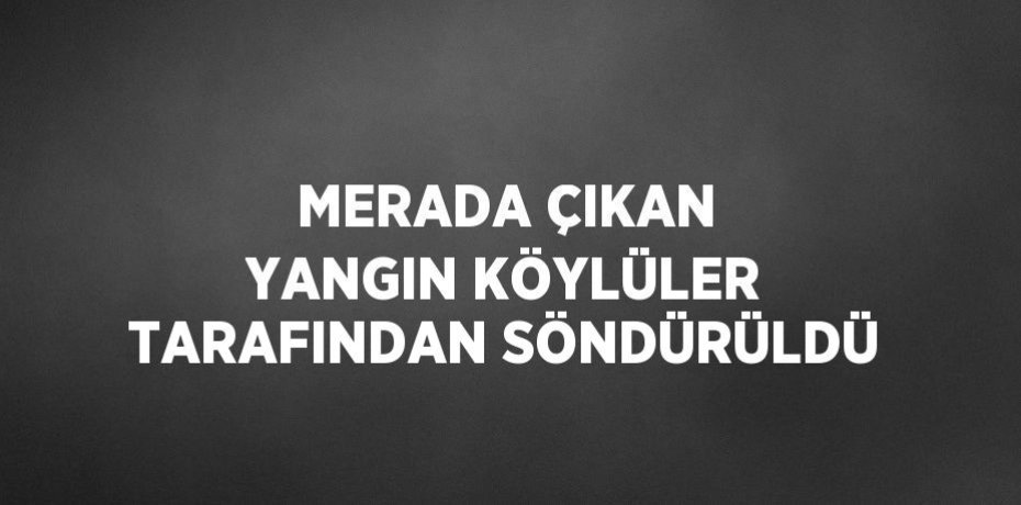 MERADA ÇIKAN YANGIN KÖYLÜLER TARAFINDAN SÖNDÜRÜLDÜ