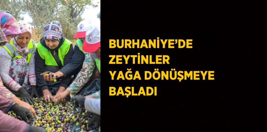 BURHANİYE’DE ZEYTİNLER YAĞA DÖNÜŞMEYE BAŞLADI