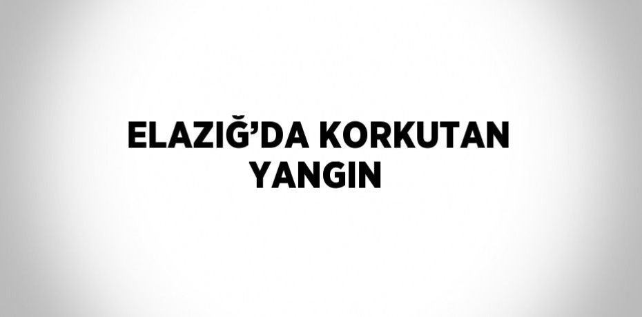 ELAZIĞ’DA KORKUTAN YANGIN