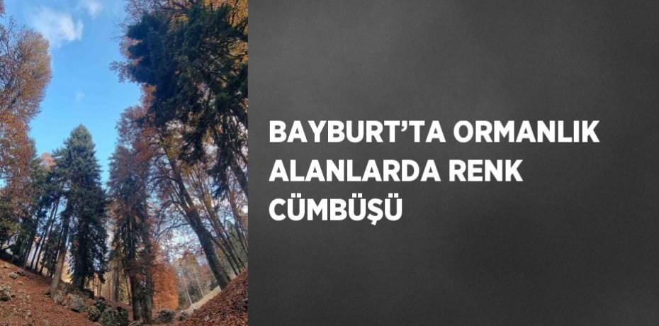 BAYBURT’TA ORMANLIK ALANLARDA RENK CÜMBÜŞÜ