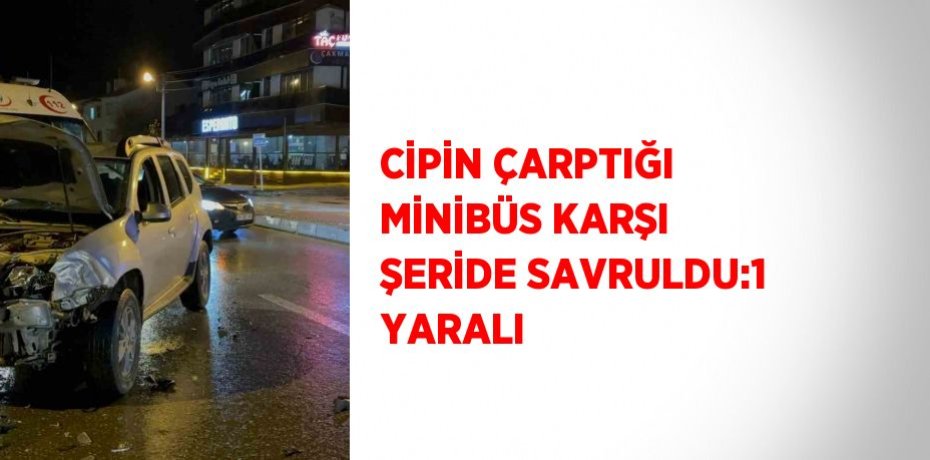 CİPİN ÇARPTIĞI MİNİBÜS KARŞI ŞERİDE SAVRULDU:1 YARALI