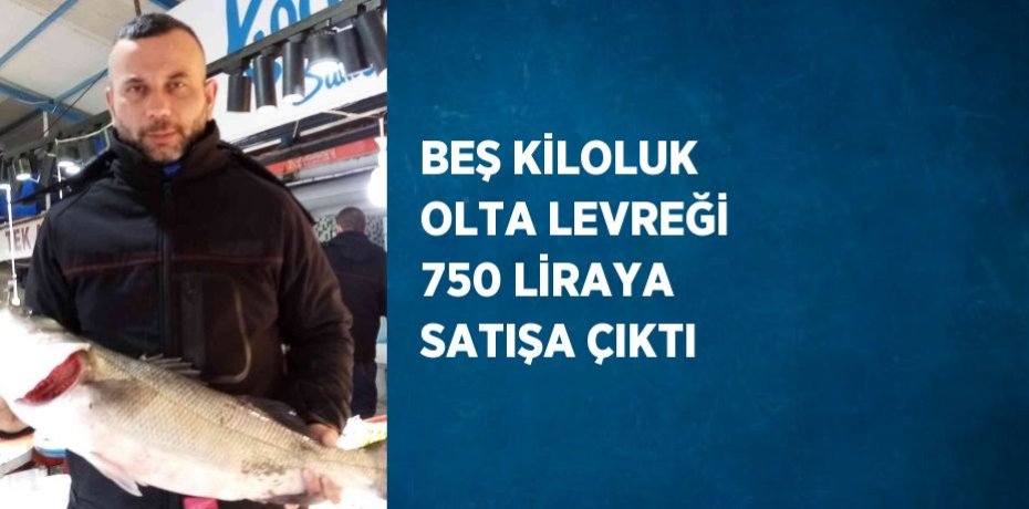 BEŞ KİLOLUK OLTA LEVREĞİ 750 LİRAYA SATIŞA ÇIKTI