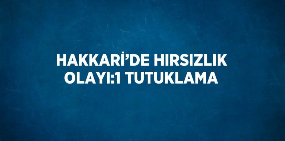 HAKKARİ’DE HIRSIZLIK OLAYI:1 TUTUKLAMA