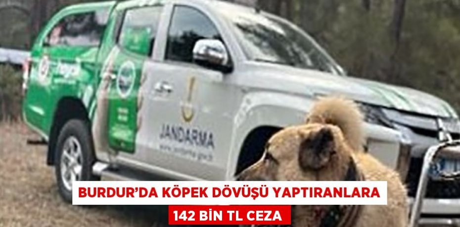 BURDUR’DA KÖPEK DÖVÜŞÜ YAPTIRANLARA 142 BİN TL CEZA