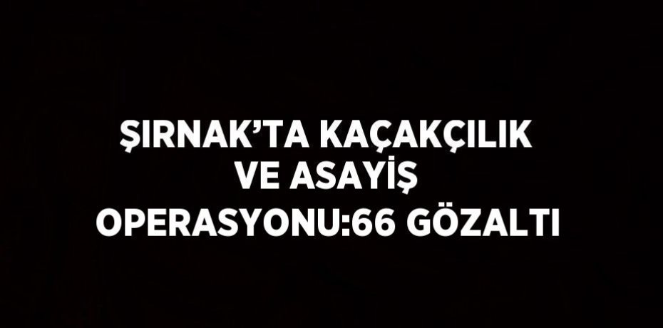ŞIRNAK’TA KAÇAKÇILIK VE ASAYİŞ OPERASYONU:66 GÖZALTI