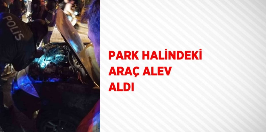 PARK HALİNDEKİ ARAÇ ALEV ALDI