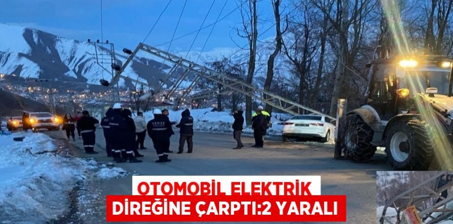 OTOMOBİL ELEKTRİK DİREĞİNE ÇARPTI:2 YARALI
