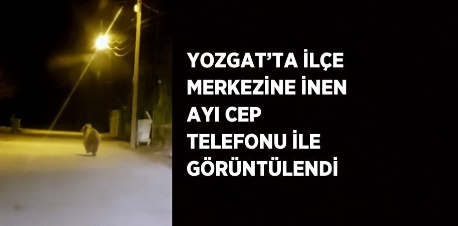 YOZGAT’TA İLÇE MERKEZİNE İNEN AYI CEP TELEFONU İLE GÖRÜNTÜLENDİ