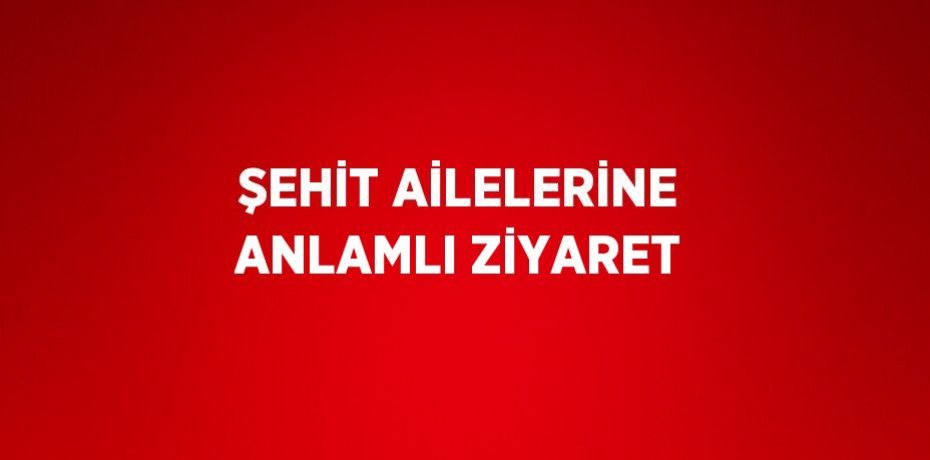 ŞEHİT AİLELERİNE ANLAMLI ZİYARET