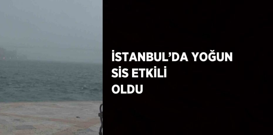 İSTANBUL’DA YOĞUN SİS ETKİLİ OLDU