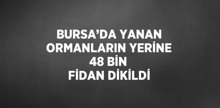 BURSA’DA YANAN ORMANLARIN YERİNE 48 BİN FİDAN DİKİLDİ
