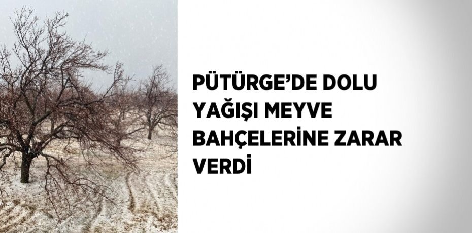 PÜTÜRGE’DE DOLU YAĞIŞI MEYVE BAHÇELERİNE ZARAR VERDİ