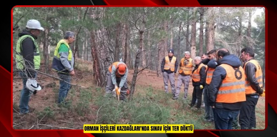 Orman işçileri Kazdağları'nda sınav için ter döktü