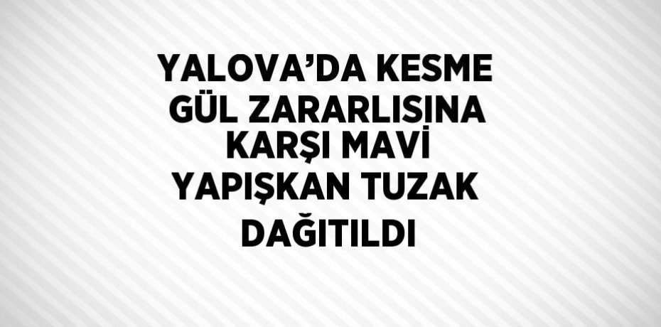 YALOVA’DA KESME GÜL ZARARLISINA KARŞI MAVİ YAPIŞKAN TUZAK DAĞITILDI