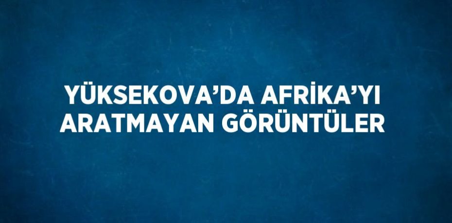 YÜKSEKOVA’DA AFRİKA’YI ARATMAYAN GÖRÜNTÜLER