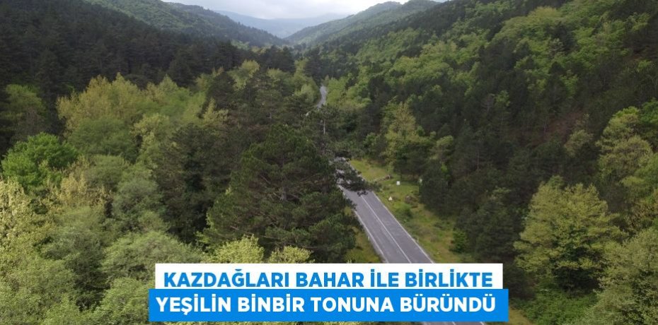 Kazdağları bahar ile birlikte yeşilin binbir tonuna büründü