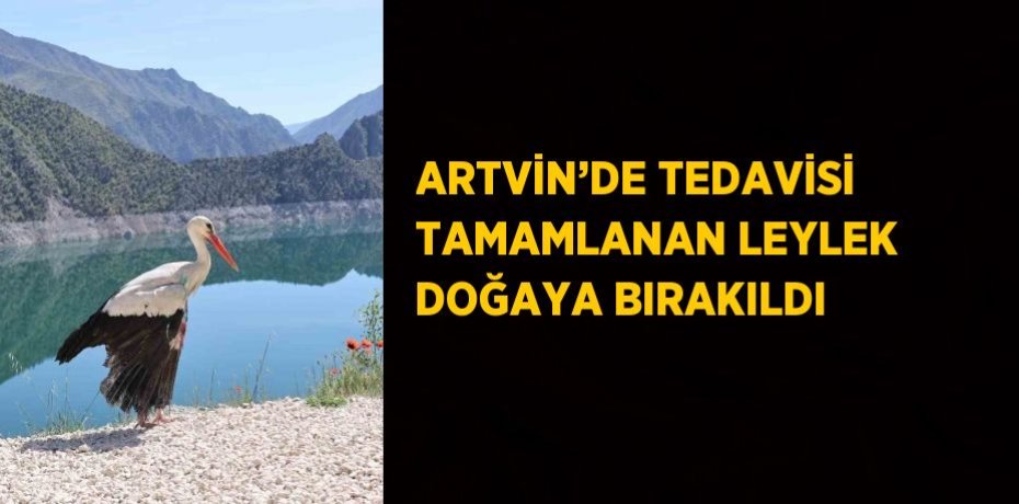 ARTVİN’DE TEDAVİSİ TAMAMLANAN LEYLEK DOĞAYA BIRAKILDI
