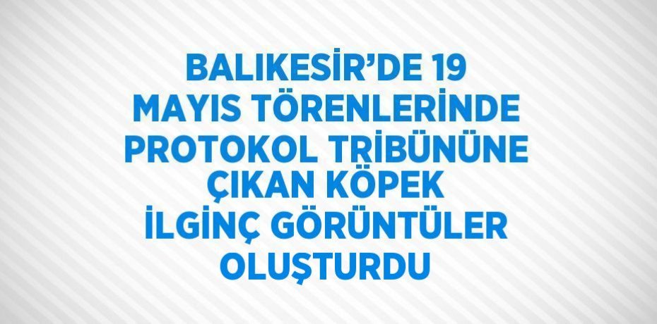 BALIKESİR’DE 19 MAYIS TÖRENLERİNDE PROTOKOL TRİBÜNÜNE ÇIKAN KÖPEK İLGİNÇ GÖRÜNTÜLER OLUŞTURDU