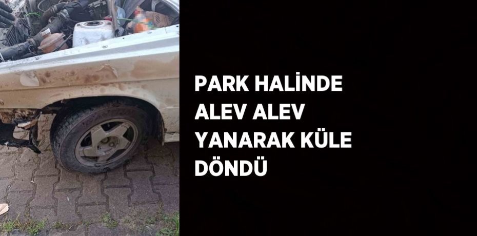 PARK HALİNDE ALEV ALEV YANARAK KÜLE DÖNDÜ