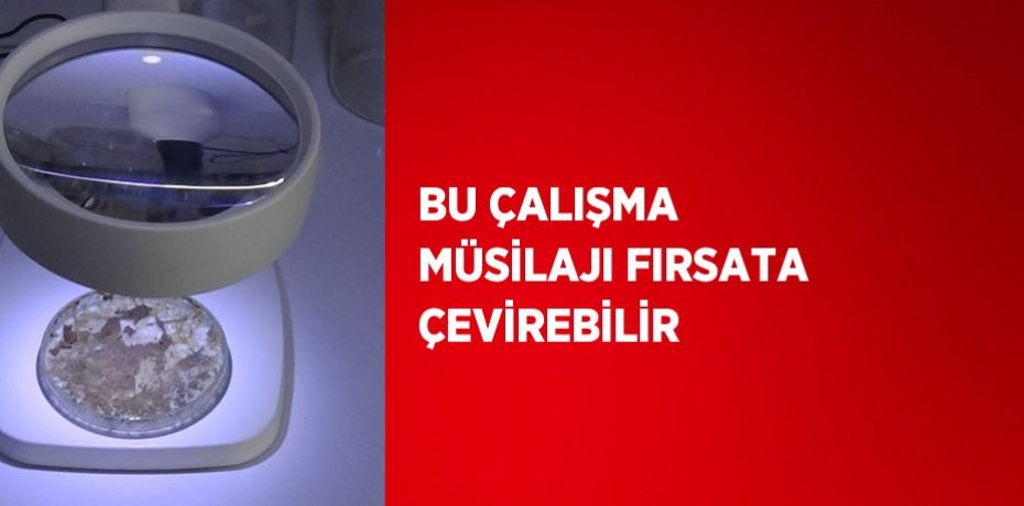 BU ÇALIŞMA MÜSİLAJI FIRSATA ÇEVİREBİLİR