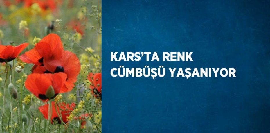 KARS’TA RENK CÜMBÜŞÜ YAŞANIYOR