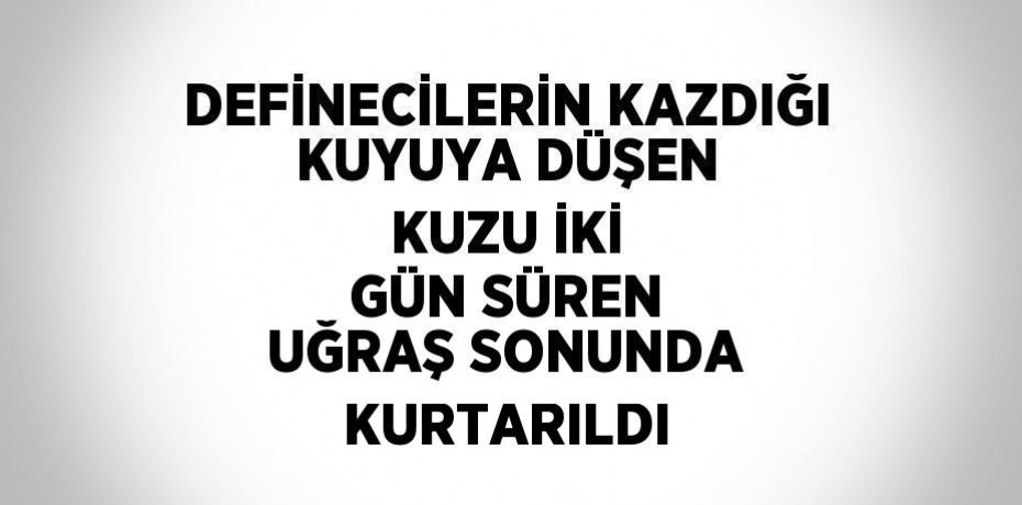 DEFİNECİLERİN KAZDIĞI KUYUYA DÜŞEN KUZU İKİ GÜN SÜREN UĞRAŞ SONUNDA KURTARILDI