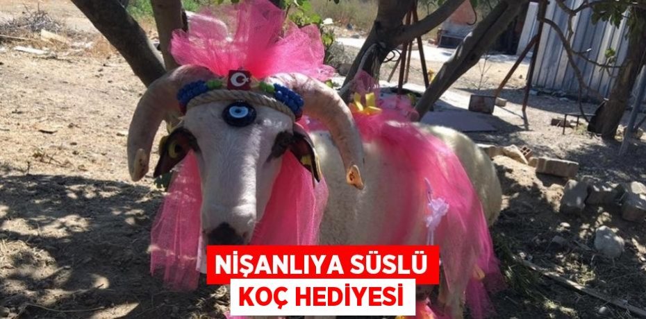 NİŞANLIYA SÜSLÜ KOÇ HEDİYESİ