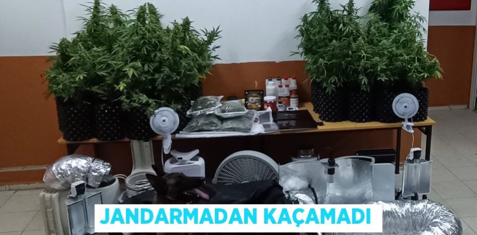 Jandarmadan kaçamadı