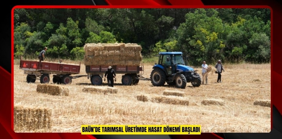 BAÜN’DE TARIMSAL ÜRETİMDE HASAT DÖNEMİ BAŞLADI