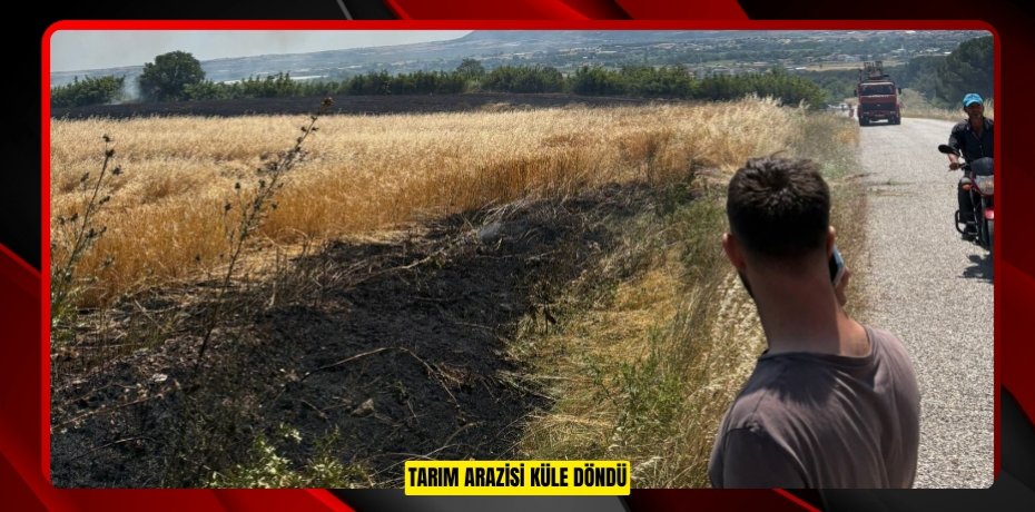 Tarım arazisi küle döndü