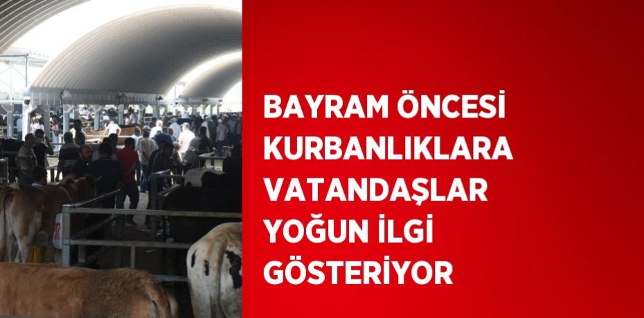 BAYRAM ÖNCESİ KURBANLIKLARA VATANDAŞLAR YOĞUN İLGİ GÖSTERİYOR