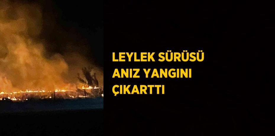 LEYLEK SÜRÜSÜ ANIZ YANGINI ÇIKARTTI