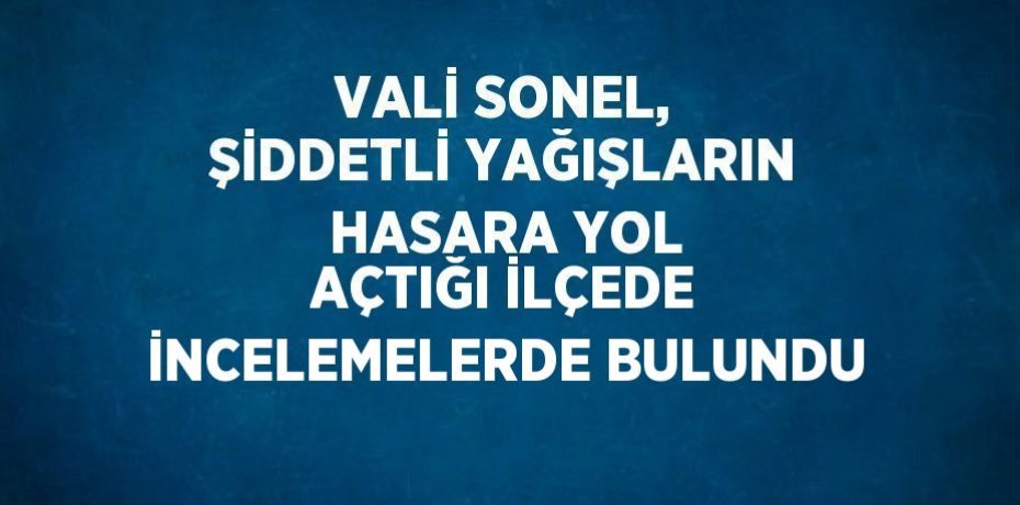 VALİ SONEL, ŞİDDETLİ YAĞIŞLARIN HASARA YOL AÇTIĞI İLÇEDE İNCELEMELERDE BULUNDU