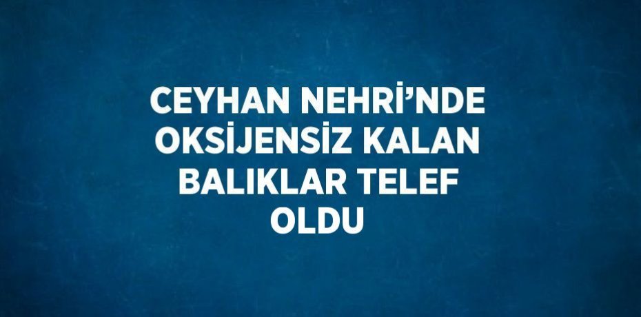 CEYHAN NEHRİ’NDE OKSİJENSİZ KALAN BALIKLAR TELEF OLDU