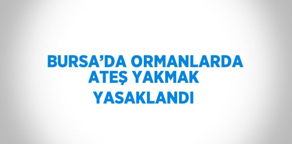 BURSA’DA ORMANLARDA ATEŞ YAKMAK YASAKLANDI