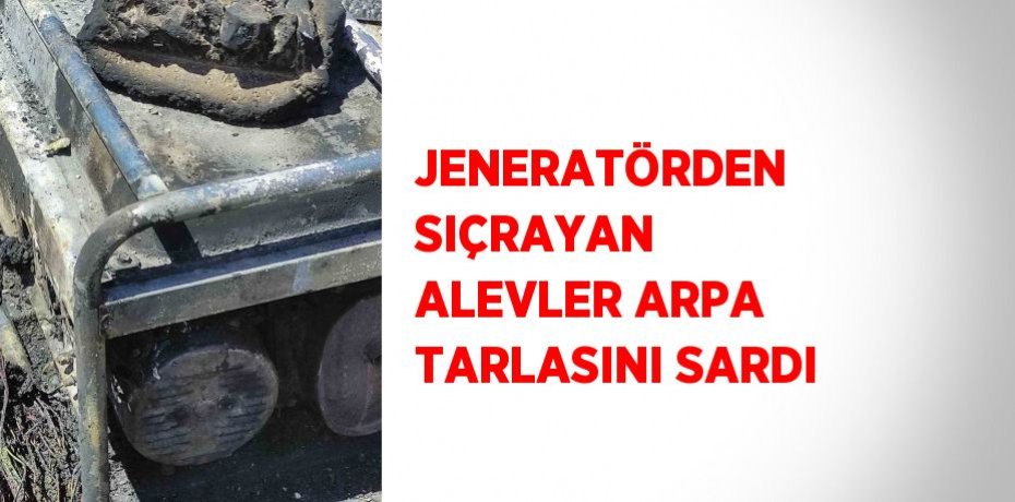 JENERATÖRDEN SIÇRAYAN ALEVLER ARPA TARLASINI SARDI