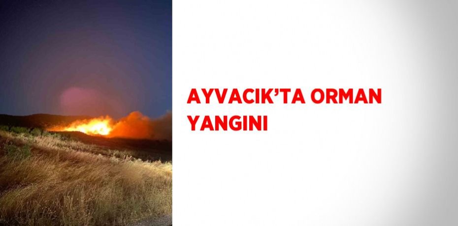 AYVACIK’TA ORMAN YANGINI