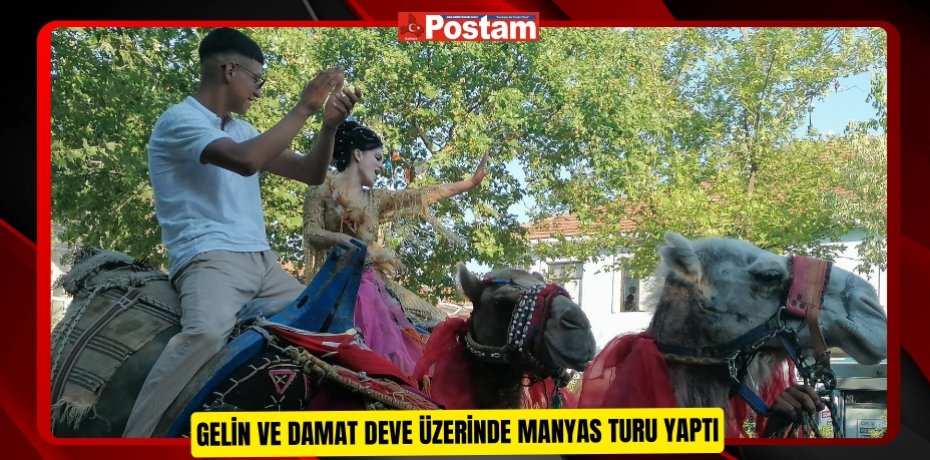 Gelin ve damat deve üzerinde Manyas turu yaptı  