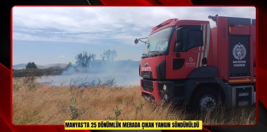 Manyas'ta 25 dönümlük merada çıkan yangın söndürüldü  