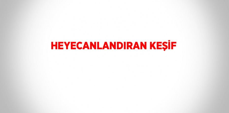 HEYECANLANDIRAN KEŞİF
