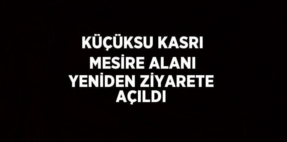KÜÇÜKSU KASRI MESİRE ALANI YENİDEN ZİYARETE AÇILDI