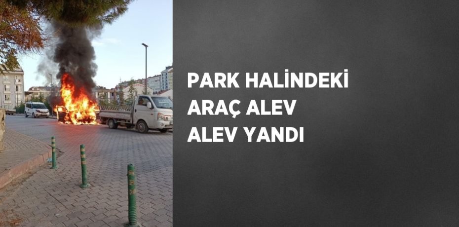 PARK HALİNDEKİ ARAÇ ALEV ALEV YANDI