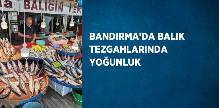 BANDIRMA’DA BALIK TEZGAHLARINDA YOĞUNLUK