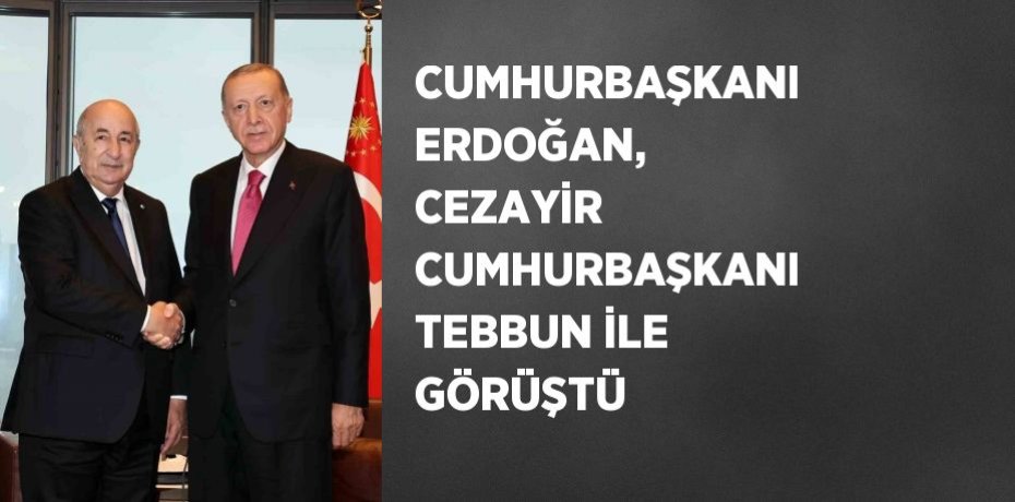 CUMHURBAŞKANI ERDOĞAN, CEZAYİR CUMHURBAŞKANI TEBBUN İLE GÖRÜŞTÜ