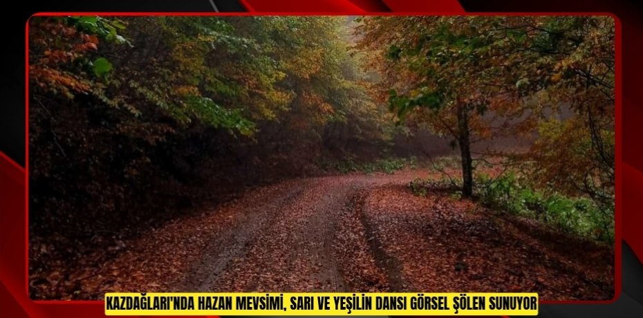 Kazdağları'nda hazan mevsimi, sarı ve yeşilin dansı görsel şölen sunuyor