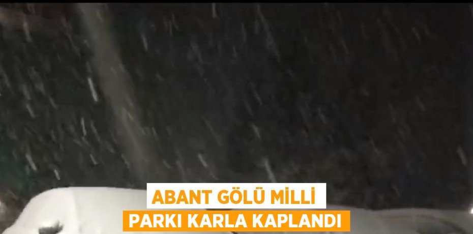 ABANT GÖLÜ MİLLİ PARKI KARLA KAPLANDI