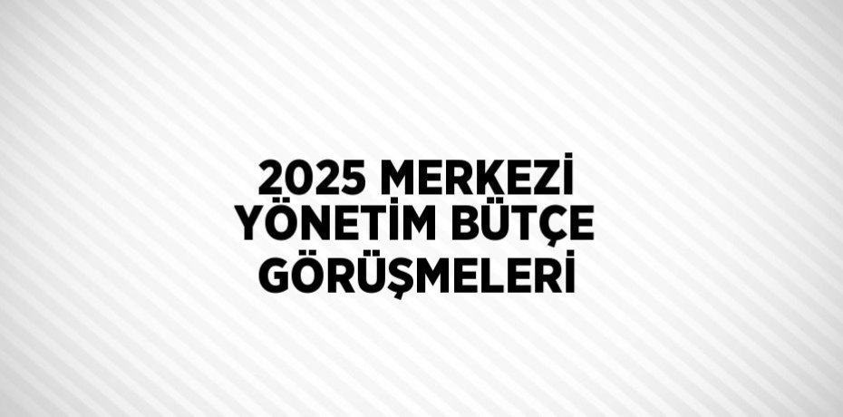 2025 MERKEZİ YÖNETİM BÜTÇE GÖRÜŞMELERİ