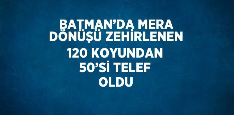 BATMAN’DA MERA DÖNÜŞÜ ZEHİRLENEN 120 KOYUNDAN 50’Sİ TELEF OLDU