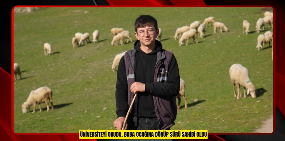 Üniversiteyi okudu, baba ocağına dönüp sürü sahibi oldu
