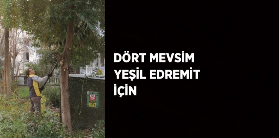 DÖRT MEVSİM YEŞİL EDREMİT İÇİN